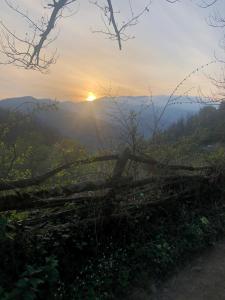 Apartamentos Rurales San Feliz