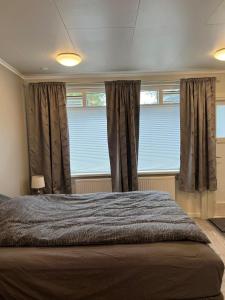 Helenas studio, Reykjavík 104