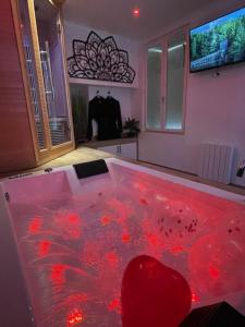 Appartements Spamoureux EPINAY : photos des chambres