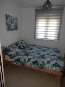 Apartman Zvezda vodilja