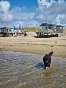 Meerblick Wattenmeer ,50m vom Meer,Strand 300m