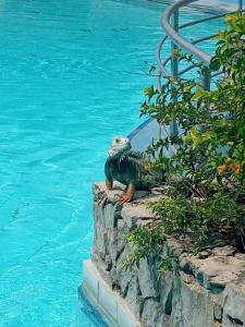 VILLAS DEL PALMAR Apto 406