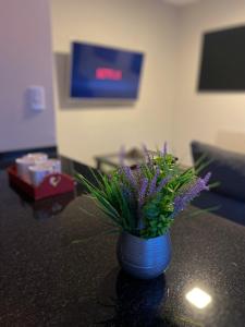 Ocean Apartments