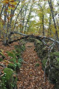 Casa Rural Margarita II