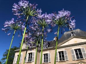 Villas Superb Chateausuites with pool at the Loire & horseboxes for 20 guests : photos des chambres