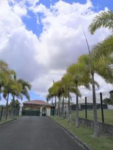 Le Muscadier - Bérard