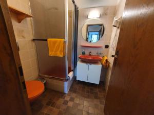 Ferienhaus-Schönwald im Herzen des Schwarzwaldes 2Zimmer-Wohnung mit Dachterrasse und Balkon App 25