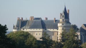 B&B / Chambres d'hotes Chateau de Durtal : photos des chambres