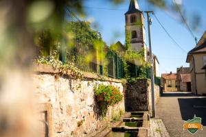 Appartements Gite O Gre des Vosges : photos des chambres