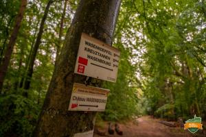 Appartements Gite O Gre des Vosges : photos des chambres