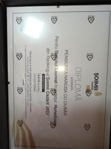 Pensiunea Narcisa cu Ciubar