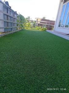 Ayur Botaniqs