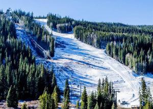 Alders by Summit County Mountain Retreats