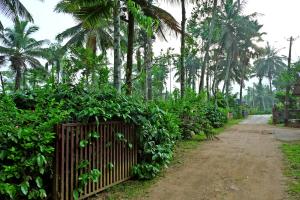 GiriDarshini Homestay - Pool, Falls, 3BH & Estate