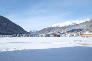 U Köhler - Unrated properties in Davos