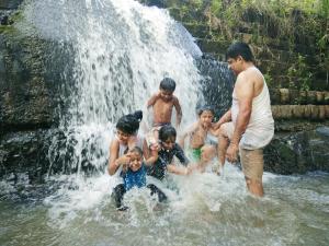 GiriDarshini Homestay - Pool, Falls, 3BH & Estate