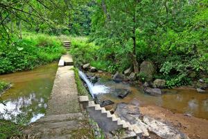 GiriDarshini Homestay - Pool, Falls, 3BH & Estate