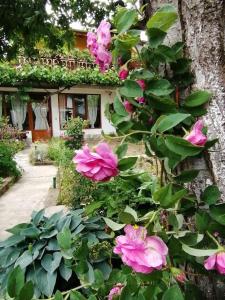 Къща за гости Градината