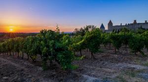 Appart'hotels Cerise Carcassonne Sud : photos des chambres