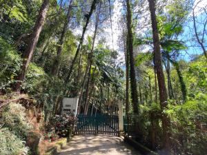 Loft Fazenda Inglesa