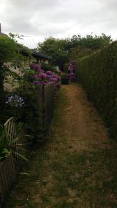 Maisons de vacances Les Hortensias : photos des chambres