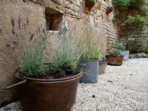 Grande maison - village de Noyers - 5 chambres