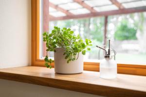 Remigija Studio Home