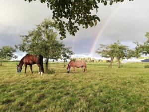 De Kaasmakerij - Ruim vakantiehuisje op Huize Blokland
