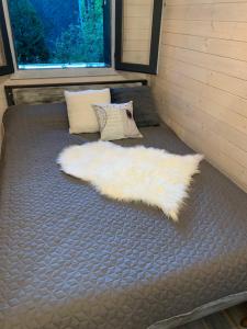 Off mode - Erdei faház a tóparton