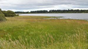 Stewarts Resort Lodge 4