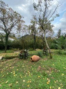 გურული ეზო*Gurian yard