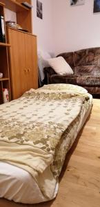 Cosy Room