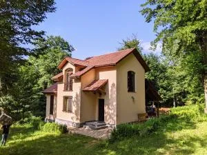 Forest - Khachʼardzan