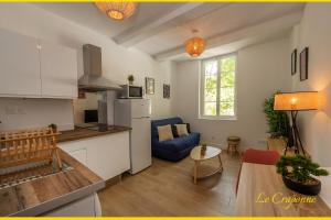 Le Craponne - Magnifique appartement cours principal plein centre avec parking