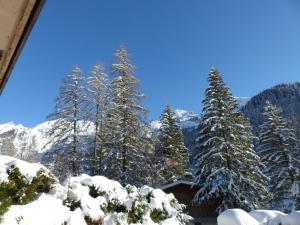 Appartement chaleureux avec parking à La Clusaz - FR-1-437-68