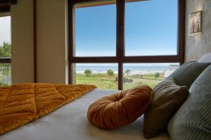 Luxury Singular Villa Carolina