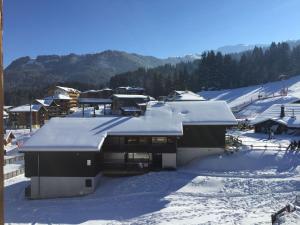 Studio 4 pers au pied des pistes avec animaux et parking - FR-1-815-83