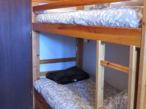 Studio 4 pers au pied des pistes avec animaux et parking - FR-1-815-83