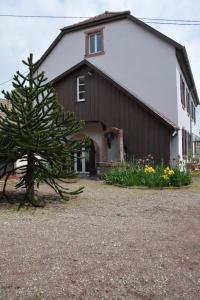 Appartements Ferme les Iris : photos des chambres