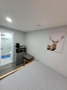 Guest House Basement - Master Bedrooms in Bayview Village