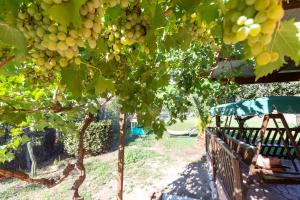 Villetta indipendente vicino aeroporto