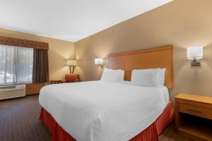 King Room - Non-Smoking room in Best Western Plus Olympic Inn