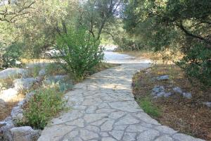 Secluded fishermans cottage Cove Magrovica - Telascica, Dugi otok - 8122