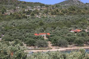 Seaside secluded apartments Cove Magrovica - Telascica, Dugi otok - 8139