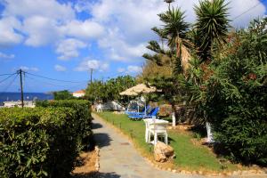 Studios Marfo Andros Greece