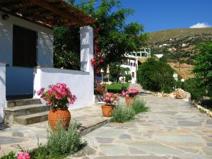 Studios Marfo Andros Greece