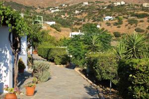 Studios Marfo Andros Greece