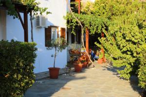 Studios Marfo Andros Greece