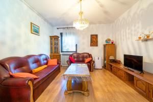 Apartment with Terrace room in Apartments with a parking space Bibinje Zadar - 18275