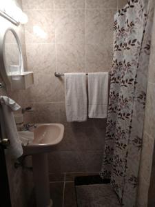 4 Bedroom 4 Bath & Laundry Room Apartment